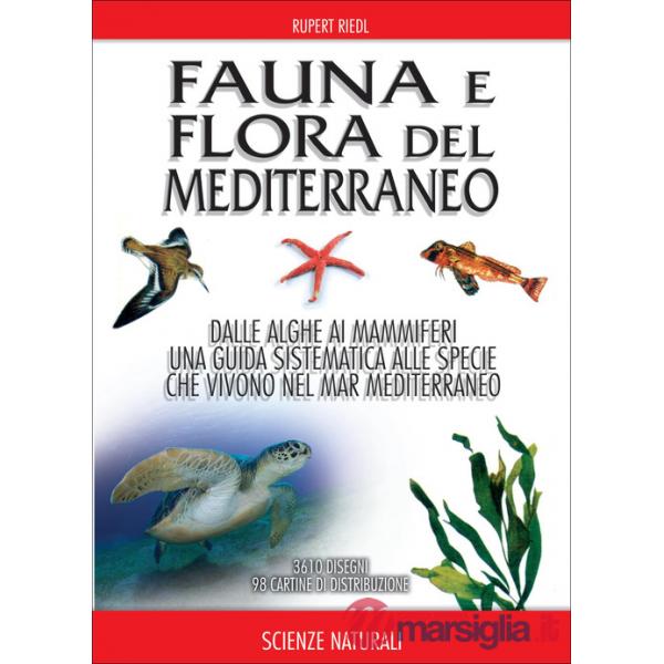 Fauna e flora del Mediterraneo