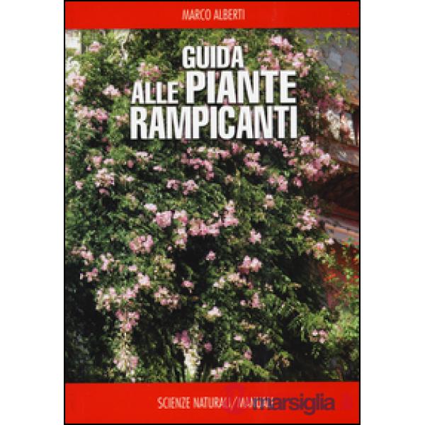 Guida alle piante rampicanti
