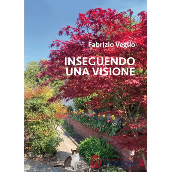 Inseguendo una visione