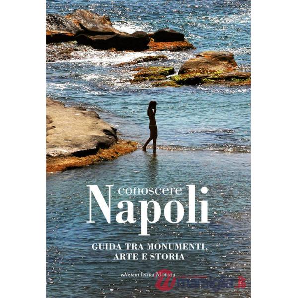 Conoscere Napoli. Guida tra monumenti, arte e storia
