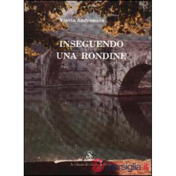 Inseguendo una rondine