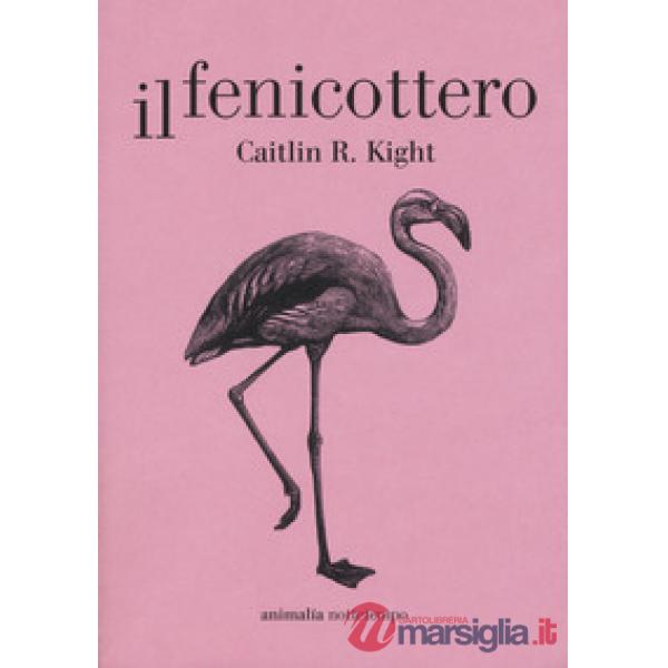Fenicottero (Il)