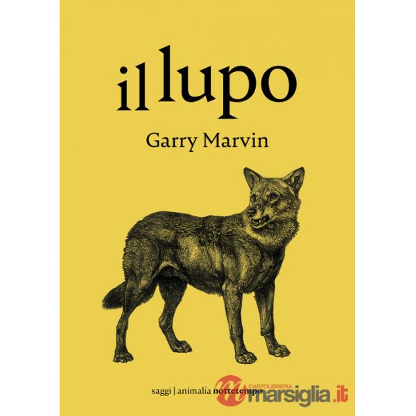 Lupo (Il)