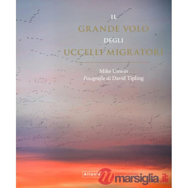 Grande volo degli uccelli migratori (Il)