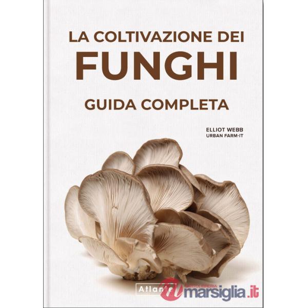 La coltivazione dei funghi