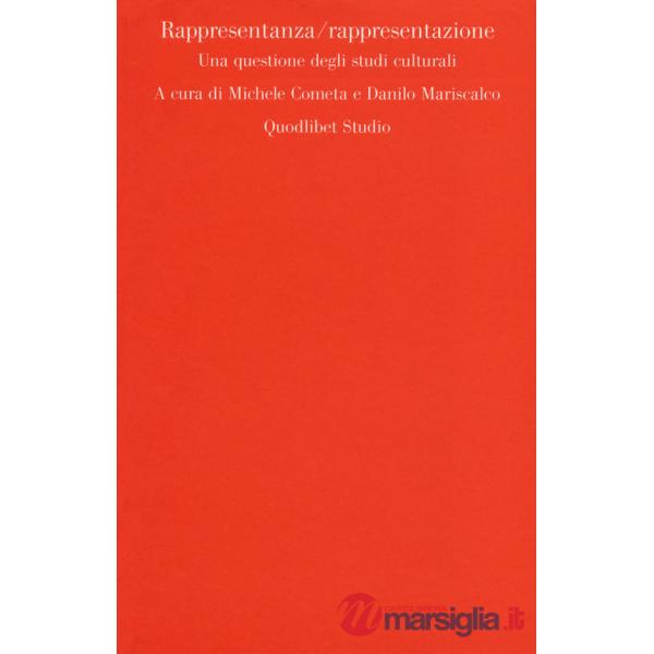 Rappresentanza-rappresentazione. Una questione degli studi culturali