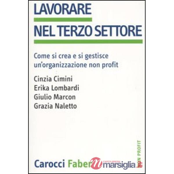 Lavorare nel terzo settore. Come si crea e si gestisce un'organizzazione non pro