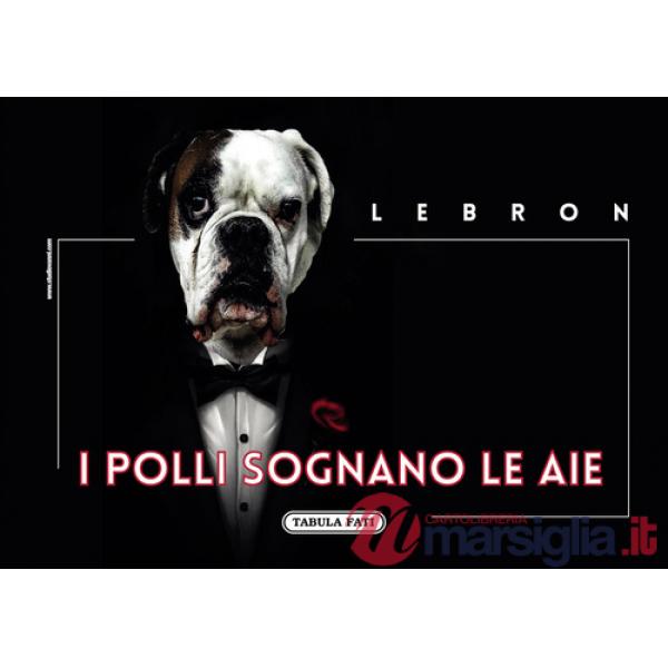 Polli sognano le aie (I)