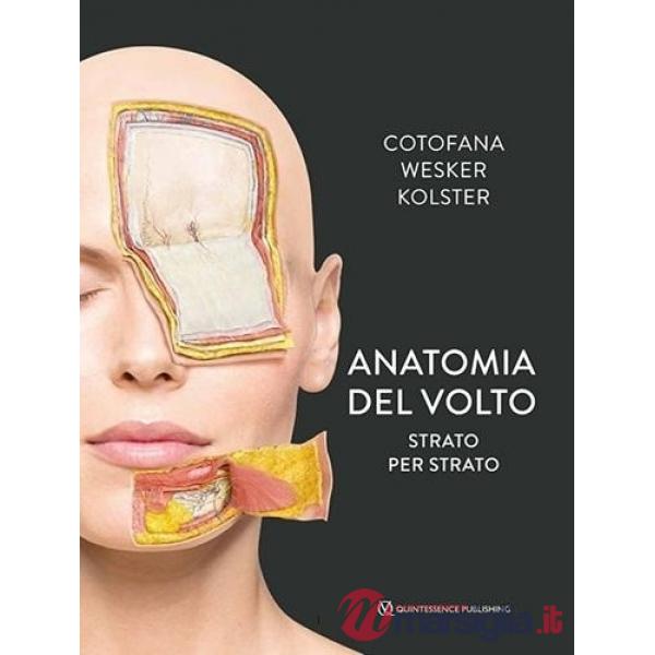 Anatomia del volto. Strato per strato
