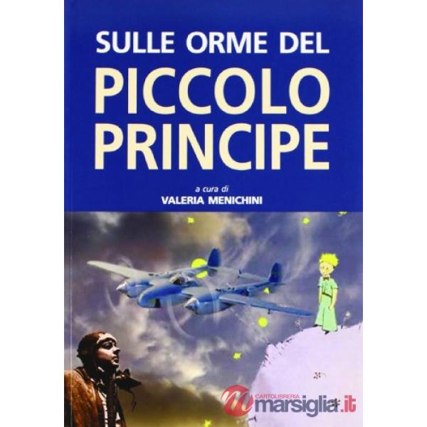 Sulle orme del Piccolo Principe. Ediz. illustrata