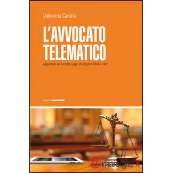 Avvocato telematico (L')