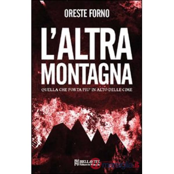 Altra montagna. Quella che porta più in alto delle cime (L')