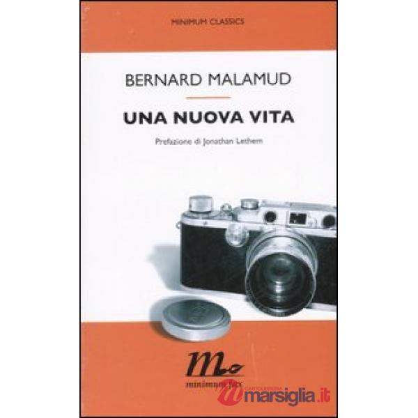 Nuova vita (Una)