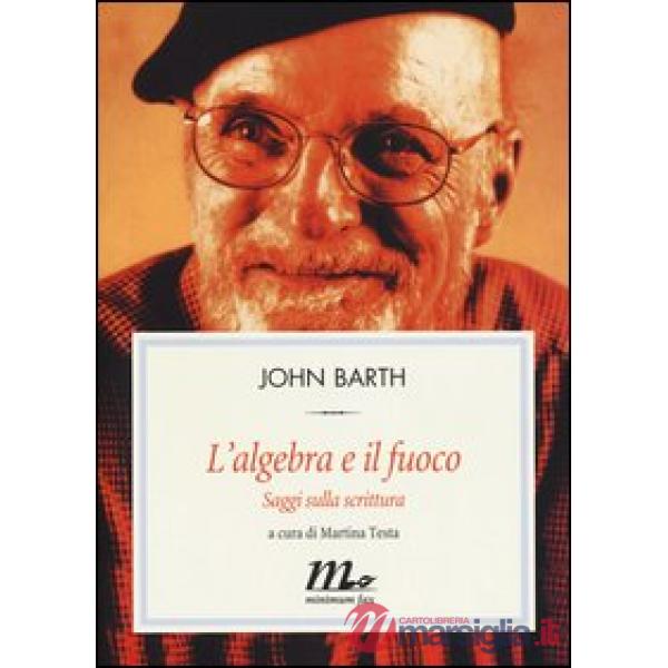 Algebra e il fuoco. Saggi sulla scrittura (L')