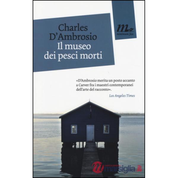 Museo dei pesci morti (Il)
