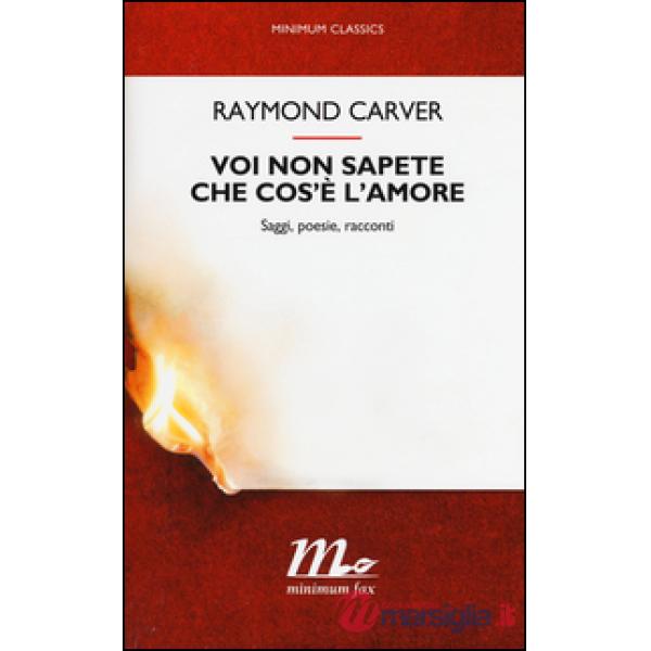 Voi non sapete che cos'è l'amore. Saggi, poesie, racconti
