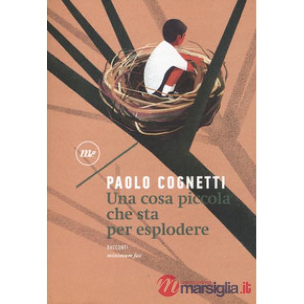 Cosa piccola che sta per esplodere (Una)