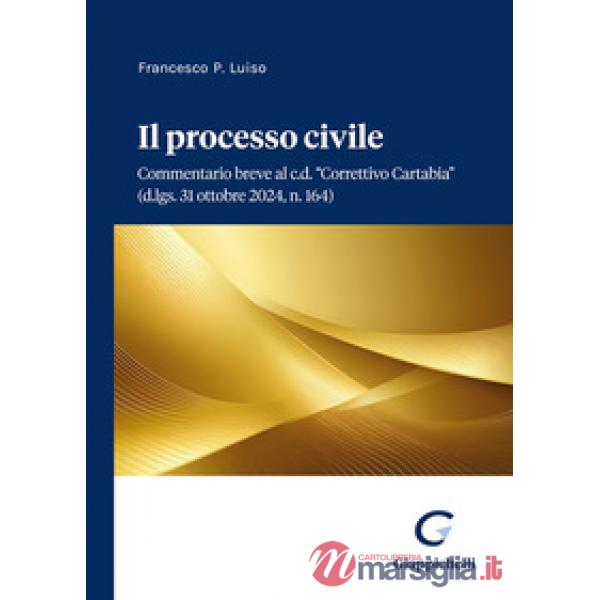 Il processo civile