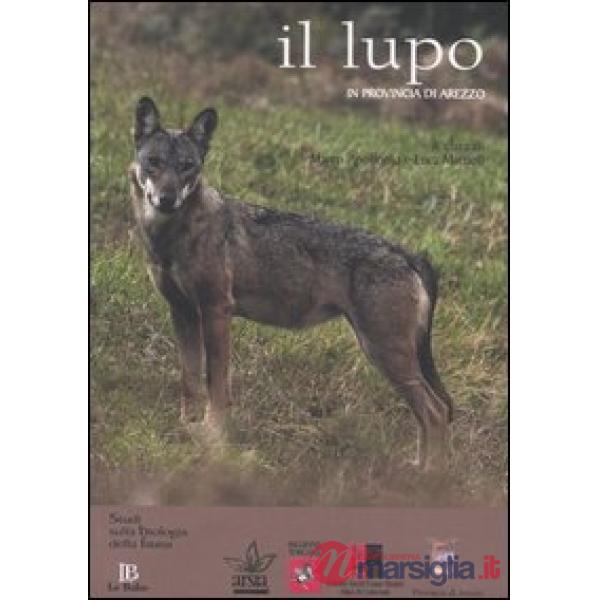 Lupo in provincia di Arezzo (Il)