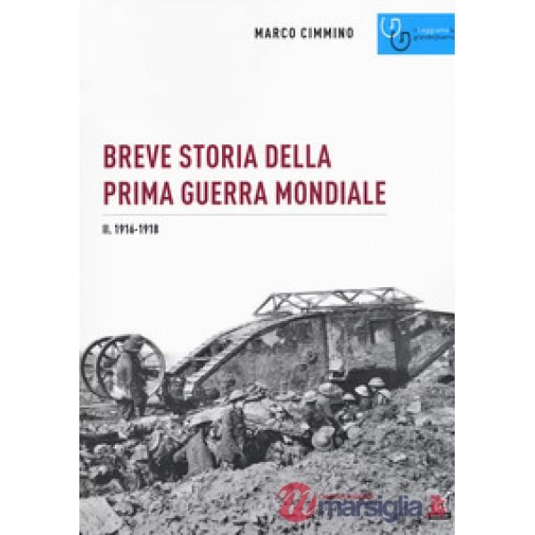 Breve storia della prima guerra mondiale. Vol. 2: 1916-1918