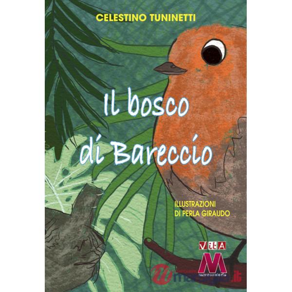 Bosco di Bareccio. Ediz. illustrata (Il)
