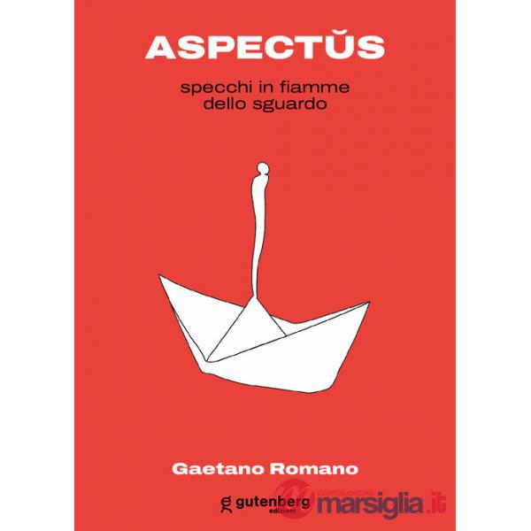Aspectus. Specchi in fiamme dello sguardo