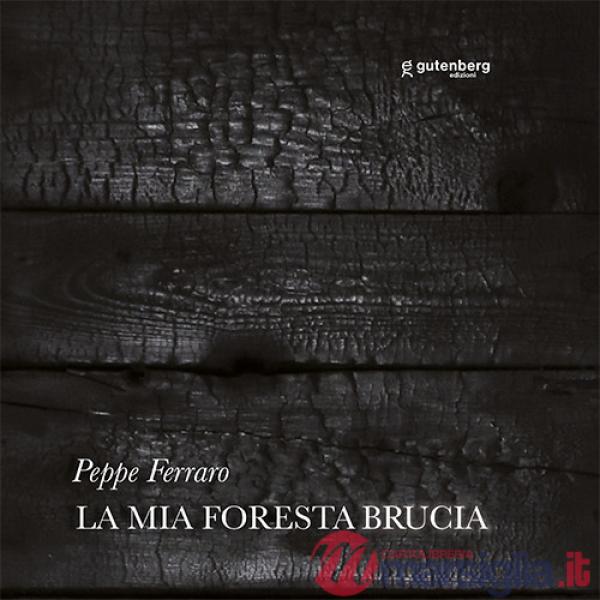 Mia foresta brucia. Peppe Ferraro (La)