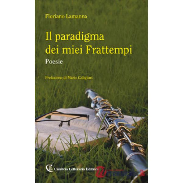 Paradigma dei miei frattempi (Il)