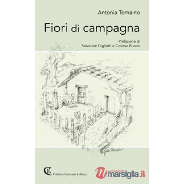 Fiori di campagna