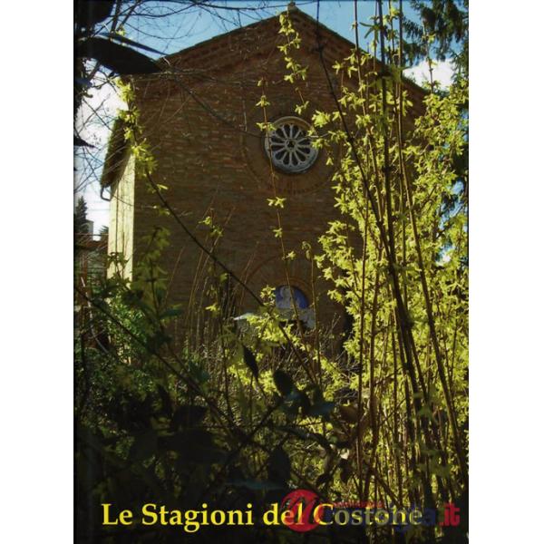 Stagioni del Costone. Storia, protagonisti e testimonianze di un secolo di vita del Ricreatorio Pio II in Siena. Ediz. illustrat