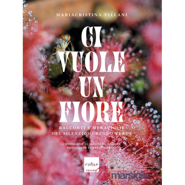 Ci vuole un fiore. Racconti e meraviglie del silenzioso regno verde. Ediz. a colori