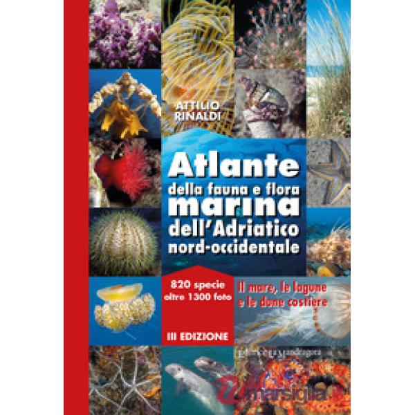 Atlante della fauna e flora marina dell'Adriatico nord-occidentale