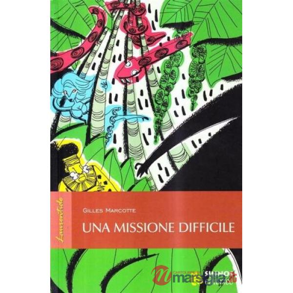 Missione difficile (Una)
