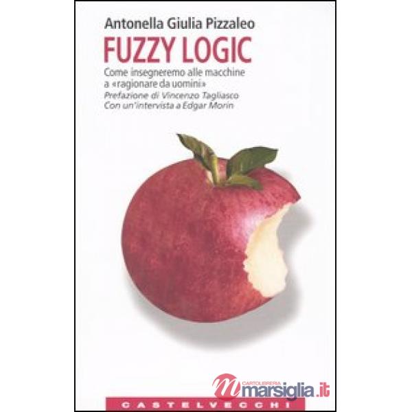 Fuzzy logic. Come insegneremo alle macchine a «ragionare da uomini»