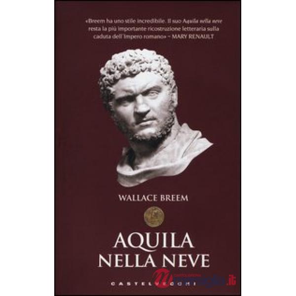 Aquila nella neve