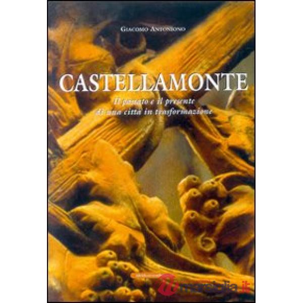 Castellamonte. Il passato e il presente di una città in trasformazione