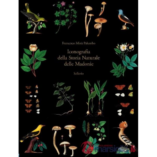 Iconografia della storia naturale delle Madonie. Ediz. illustrata