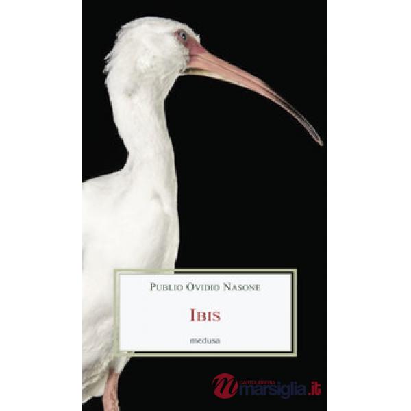 Ibis