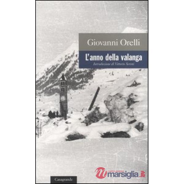 Anno della valanga (L')