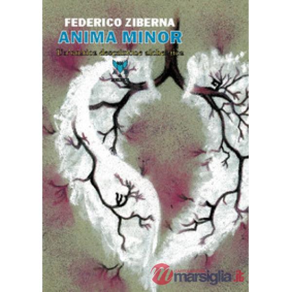 Anima minor. Un'onirica descrizione alchemica