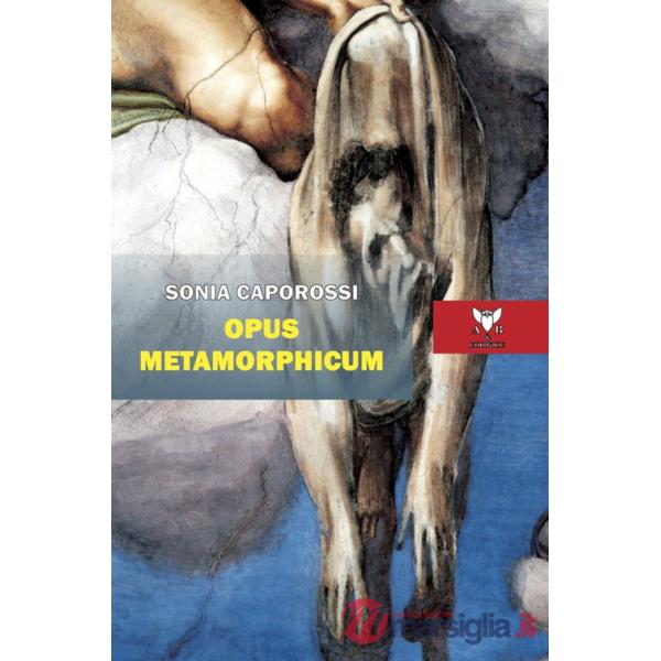 Opus metamorphicum