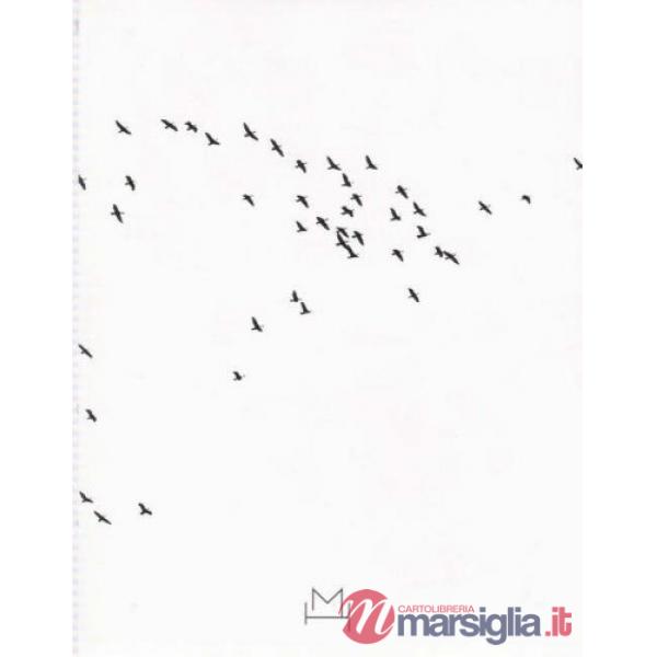 Sabrina Mezzaqui. C'è tempo. Catalogo della mostra (Torino, 9 novembre 2006-28 gennaio 2007)