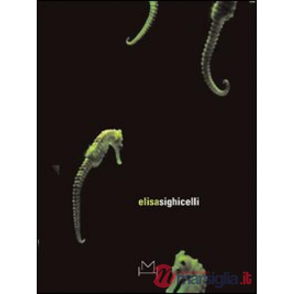 Elisa Sighicelli. Ediz. italiana e inglese