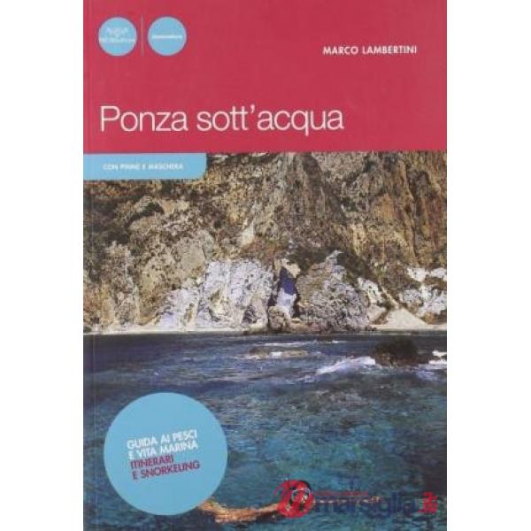 Ponza sott'acqua. Guida ai pesci e altra vita marina. Itinerari snorkeling. Ediz. illustrata