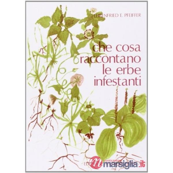 Che cosa raccontano le erbe infestanti