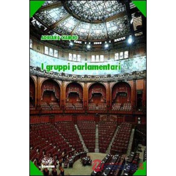 Gruppi parlamentari (I)