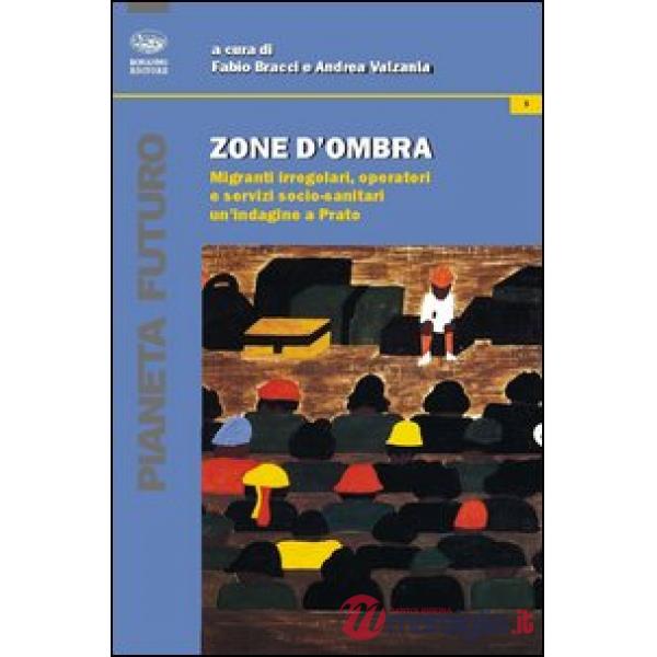 Zone d'ombra. Migranti irregolari, operatori e servizi socio-sanitari