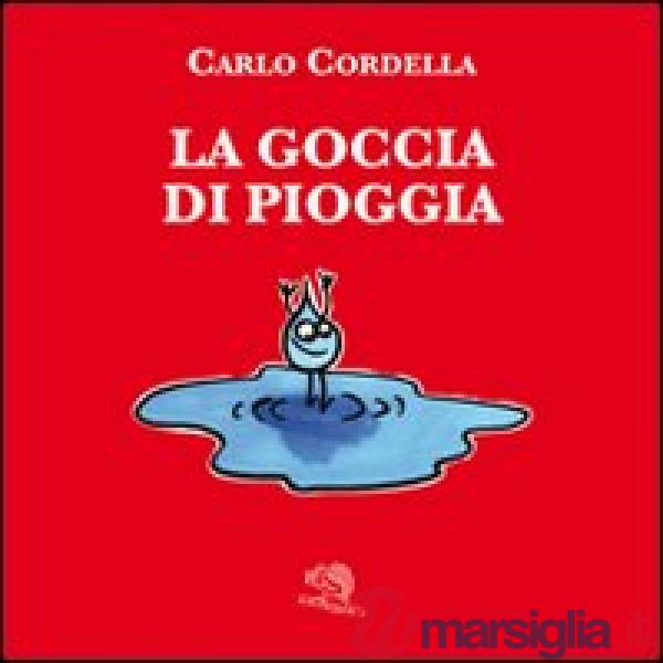 Goccia di pioggia. Ediz. illustrata (La)