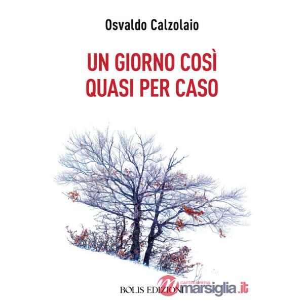 Giorno così quasi per caso (Un)