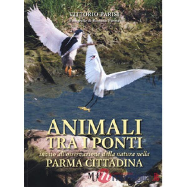 Animali tra i ponti. Invito all'osservazione della natura nella Parma cittadina